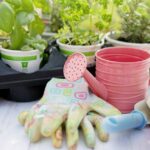 ストロボライト