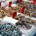 第一楼ジャパン（株）