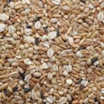 福島食粉（株）