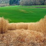 中越エコプロダクツ（株）