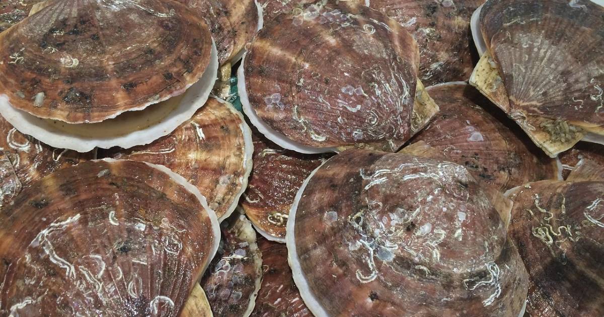 （有）丸二永光水産