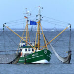 シートラスト（株）