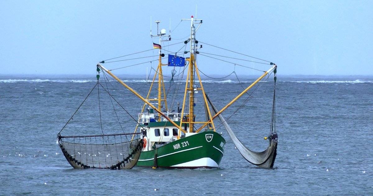 シートラスト（株）