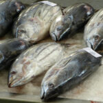 （株）ディ・エッチ・エー・マリンフーズ