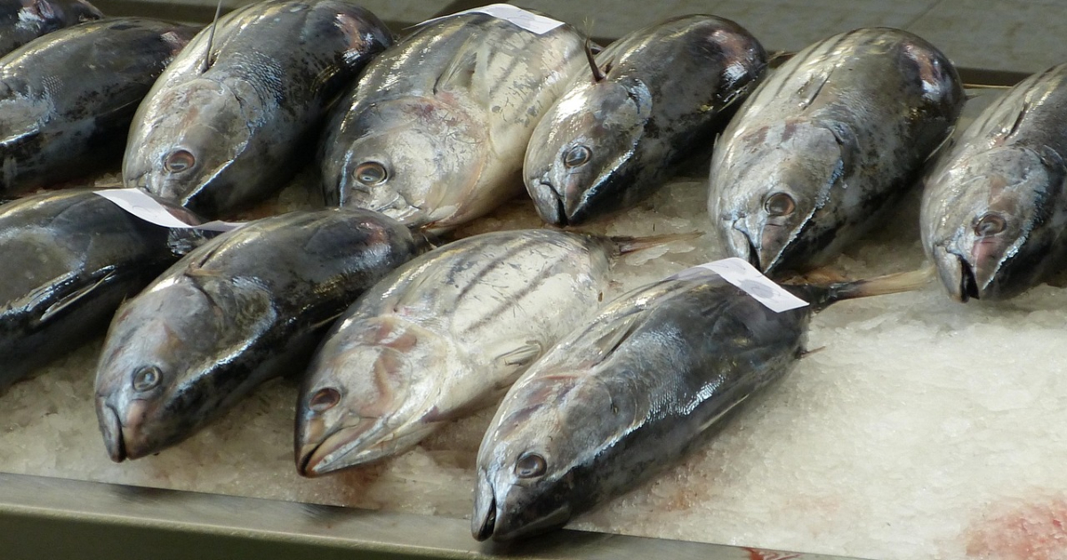 （株）ディ・エッチ・エー・マリンフーズ