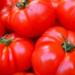 （株）Kアグリ稲敷