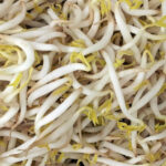 サイキ食品（株）