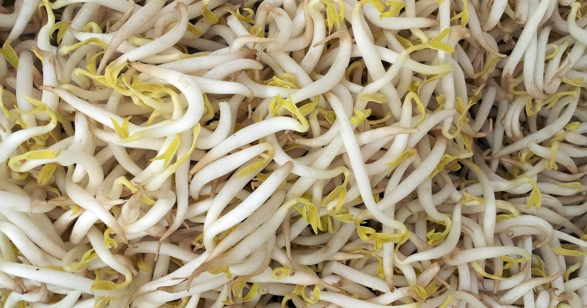 サイキ食品（株）